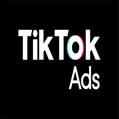 TikTok Business Manager 账户 | 代理商和企业版 | 两步验证 | 1 个已验证广告管理账户 | 账单信息完整 | 美国验证 | 即买即用