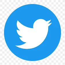 Twitter Account (2025)